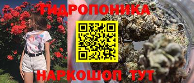 меф Краснознаменск